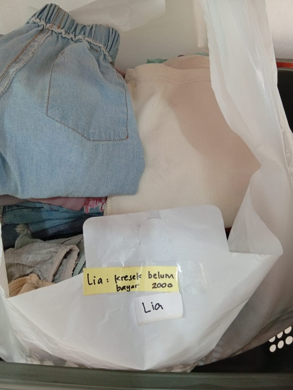 Pilihan layanan LaviumHub